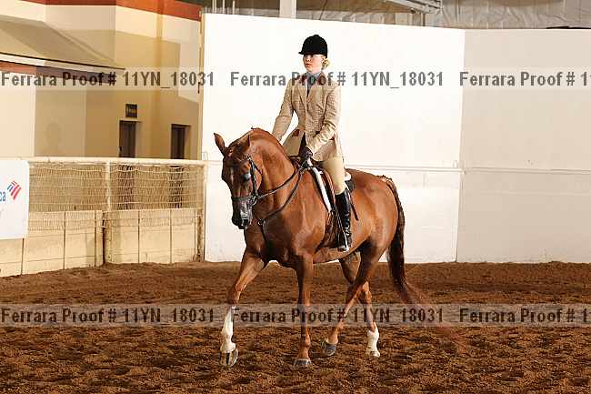 Proof 11yn_18031