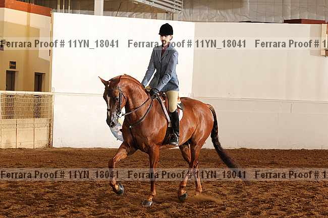 Proof 11yn_18041