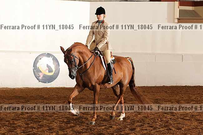 Proof 11yn_18045