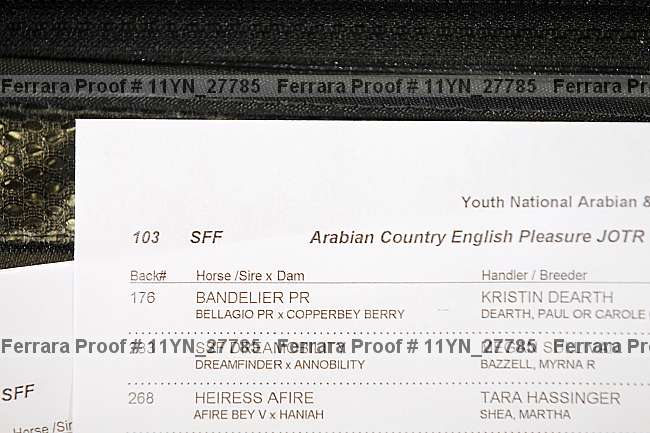 Proof 11yn_27785