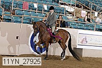 11yn_27925 proof