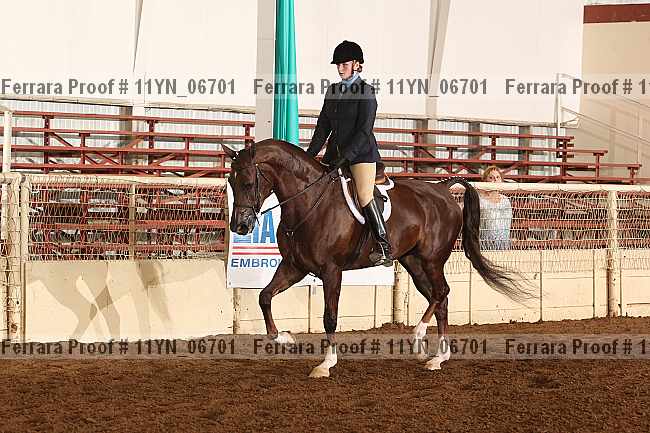 Proof 11yn_06701