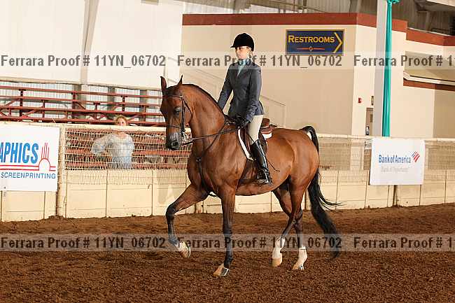 Proof 11yn_06702