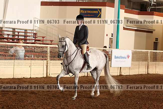 Proof 11yn_06703