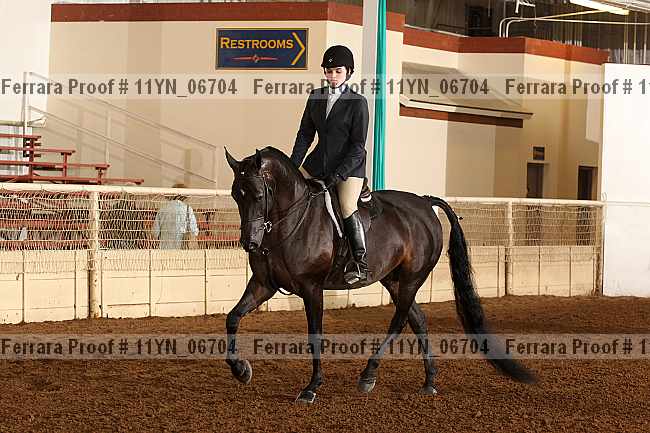 Proof 11yn_06704