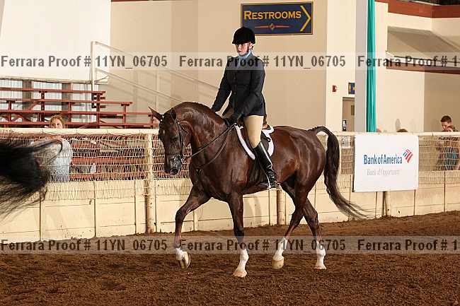 Proof 11yn_06705