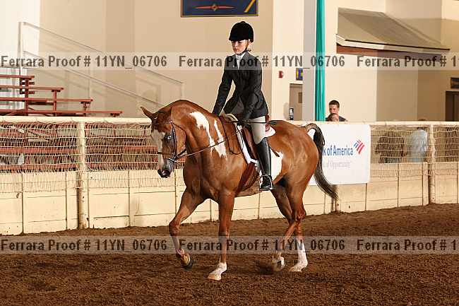 Proof 11yn_06706
