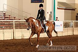 11yn_06706 proof