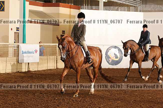Proof 11yn_06707
