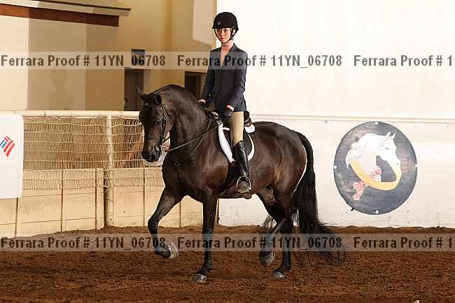 Proof 11yn_06708