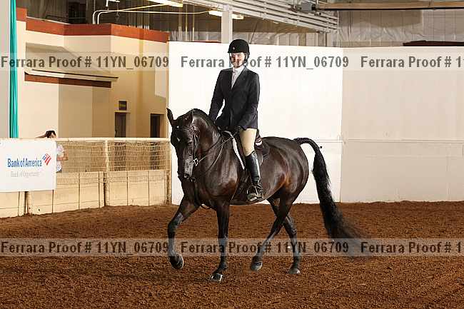 Proof 11yn_06709