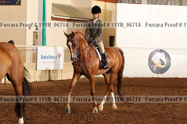 Proof 11yn_06714