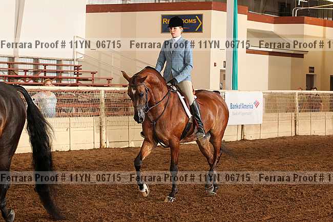 Proof 11yn_06715
