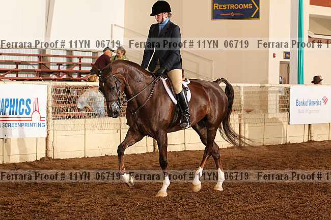 Proof 11yn_06719