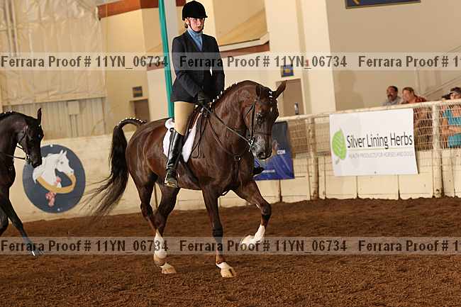 Proof 11yn_06734