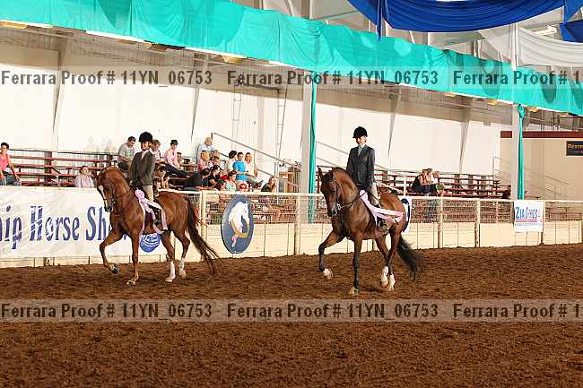 Proof 11yn_06753