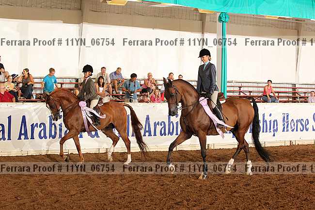 Proof 11yn_06754