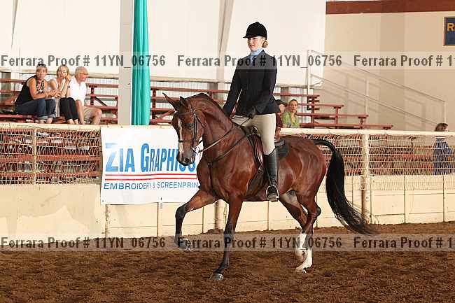 Proof 11yn_06756
