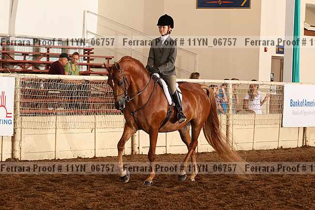 Proof 11yn_06757