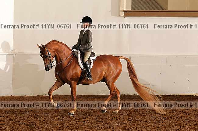 Proof 11yn_06761