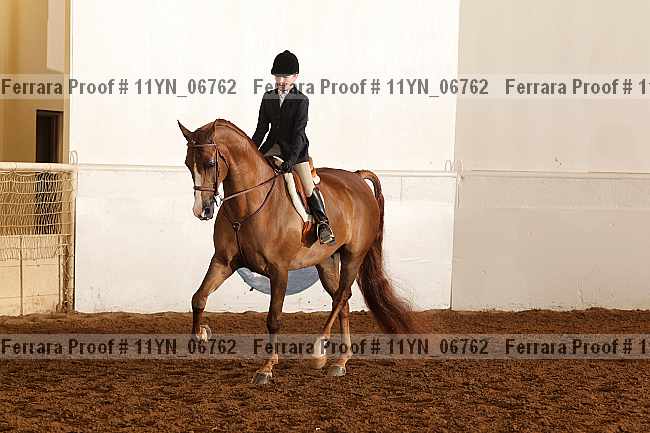 Proof 11yn_06762