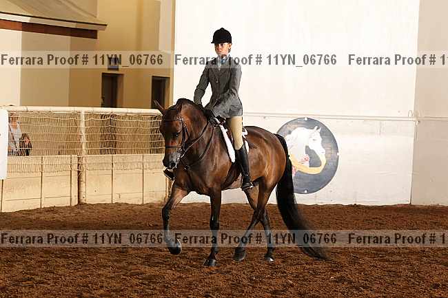 Proof 11yn_06766