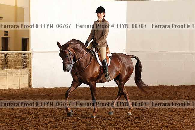 Proof 11yn_06767