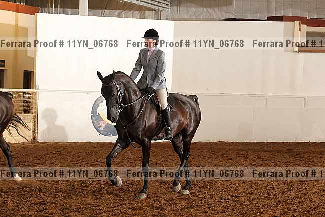 Proof 11yn_06768