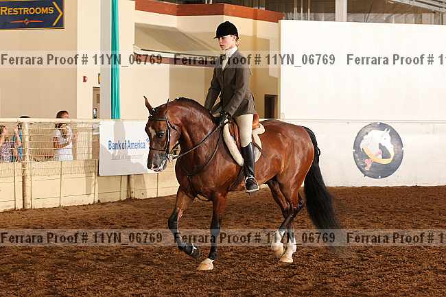 Proof 11yn_06769