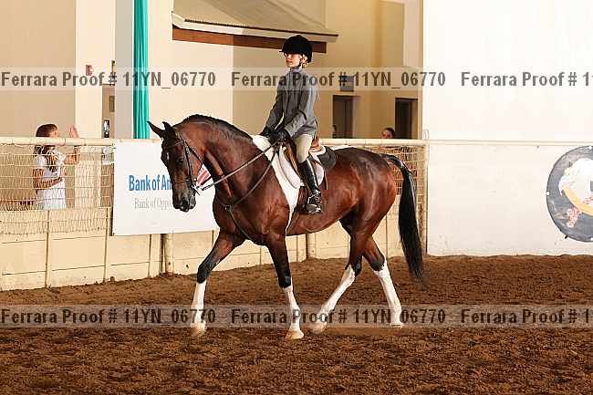 Proof 11yn_06770