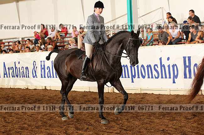 Proof 11yn_06771