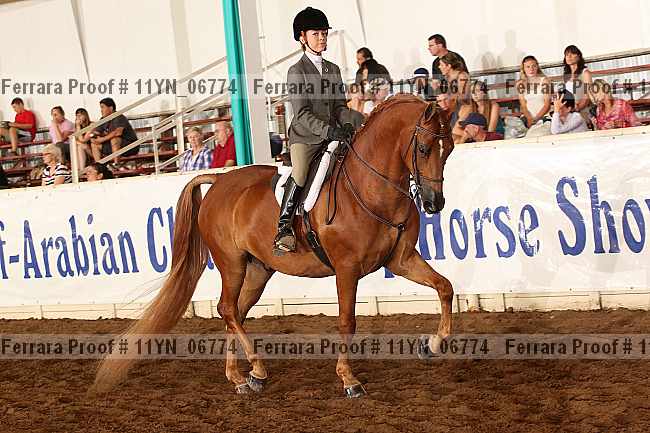 Proof 11yn_06774