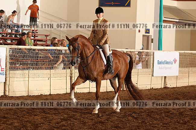 Proof 11yn_06776
