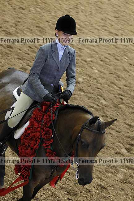 Proof 11yn_15595