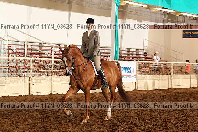Proof 11yn_03628