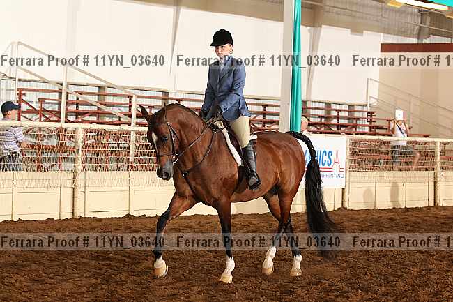 Proof 11yn_03640