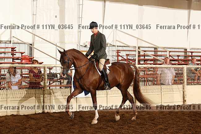 Proof 11yn_03645