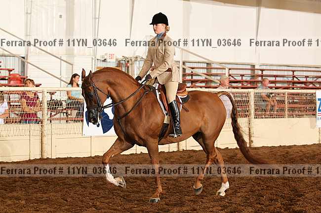 Proof 11yn_03646