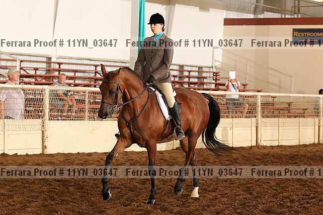 Proof 11yn_03647