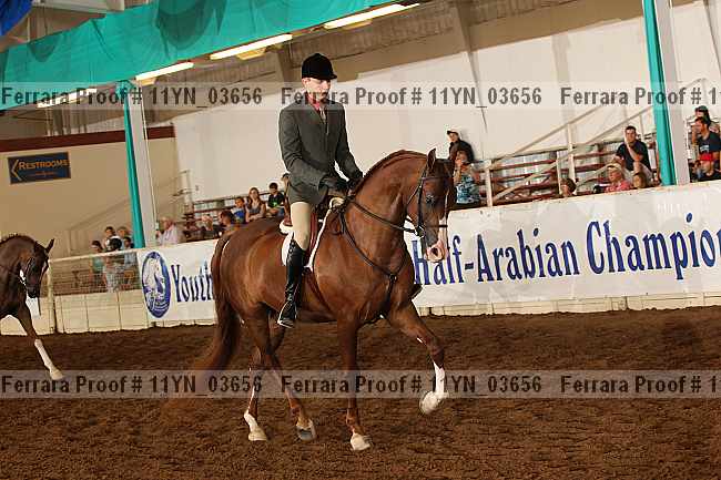 Proof 11yn_03656