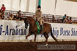 11yn_03664 proof
