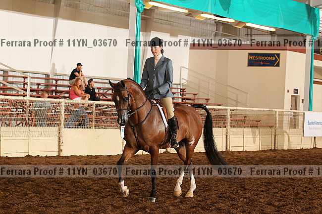 Proof 11yn_03670