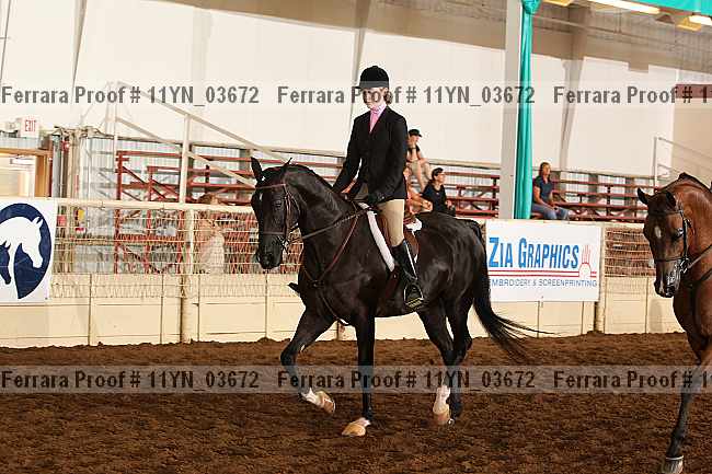 Proof 11yn_03672