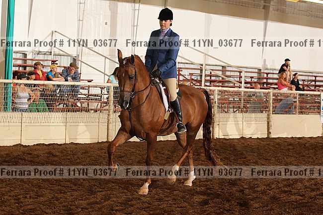 Proof 11yn_03677
