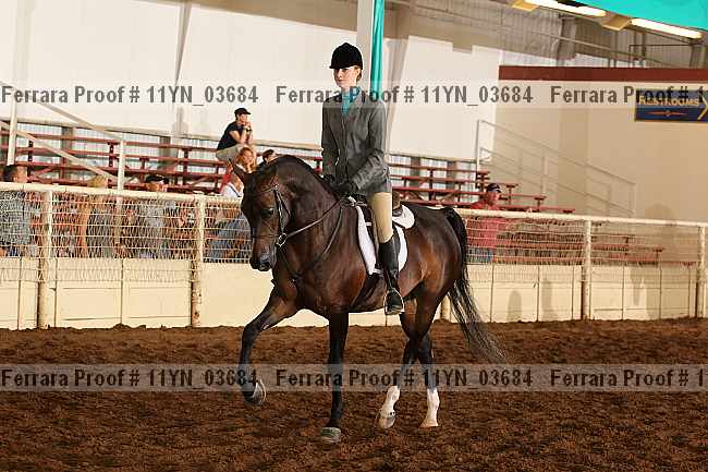 Proof 11yn_03684