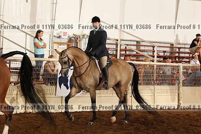 Proof 11yn_03686
