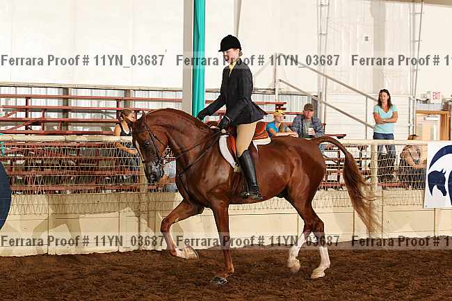 Proof 11yn_03687