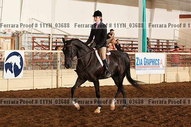 Proof 11yn_03688