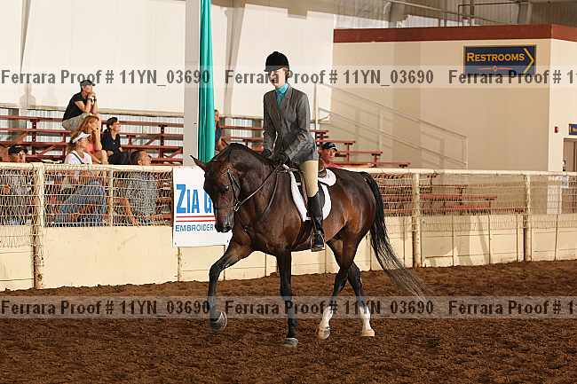 Proof 11yn_03690