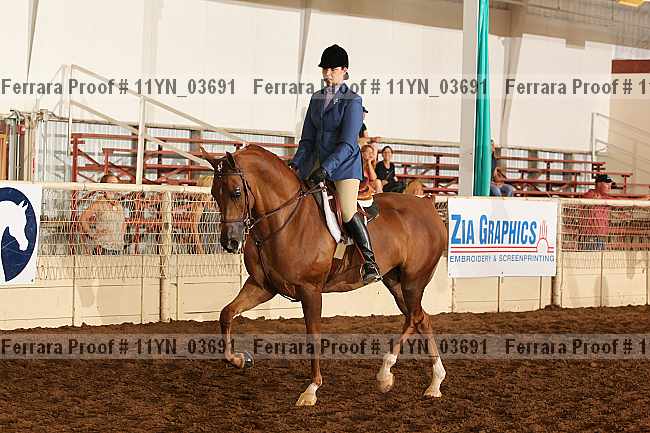 Proof 11yn_03691